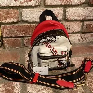 Coach | Bags | Nwt Coach Disney Mickey Mouse X Keith Haring  display picture 1